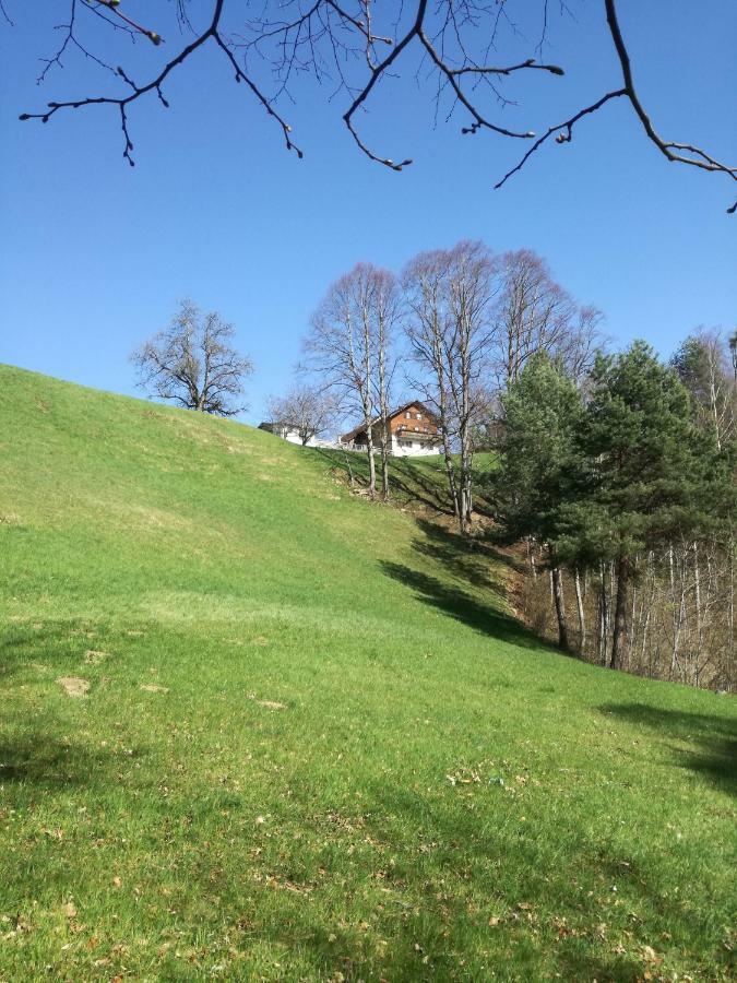 Ferienwohnung Marte Viktorsberg Kültér fotó